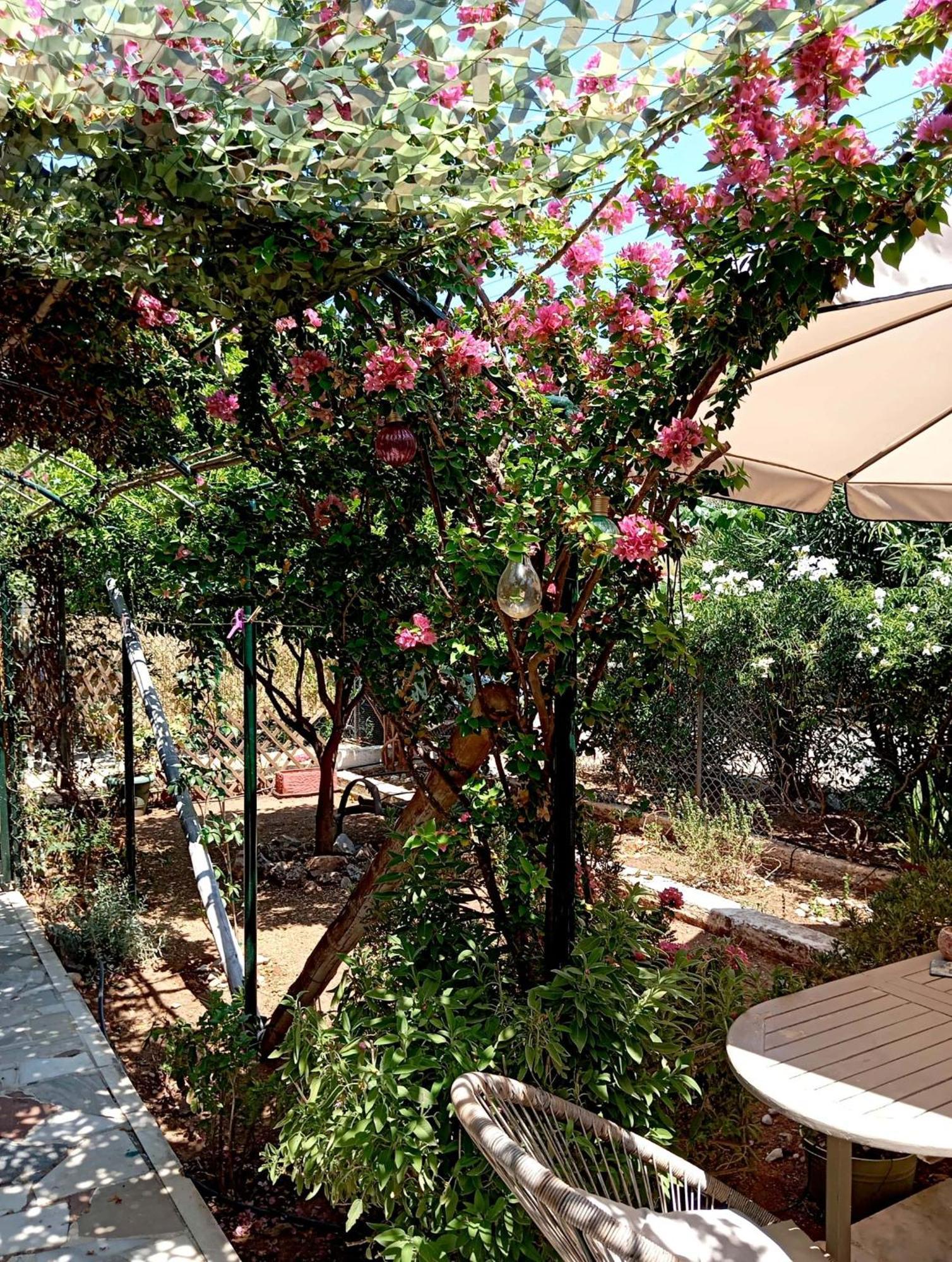 Villa Εξοχικό Roxani Ambelakia Exterior foto